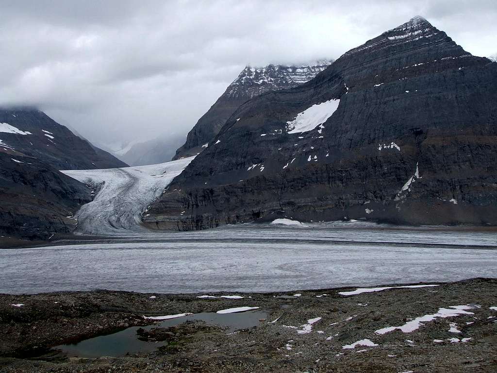 Clemenceau icefield
