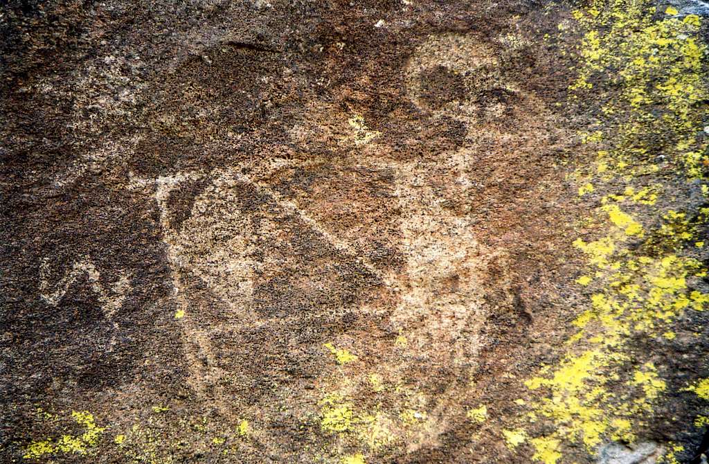 Bighorn Petroglyph