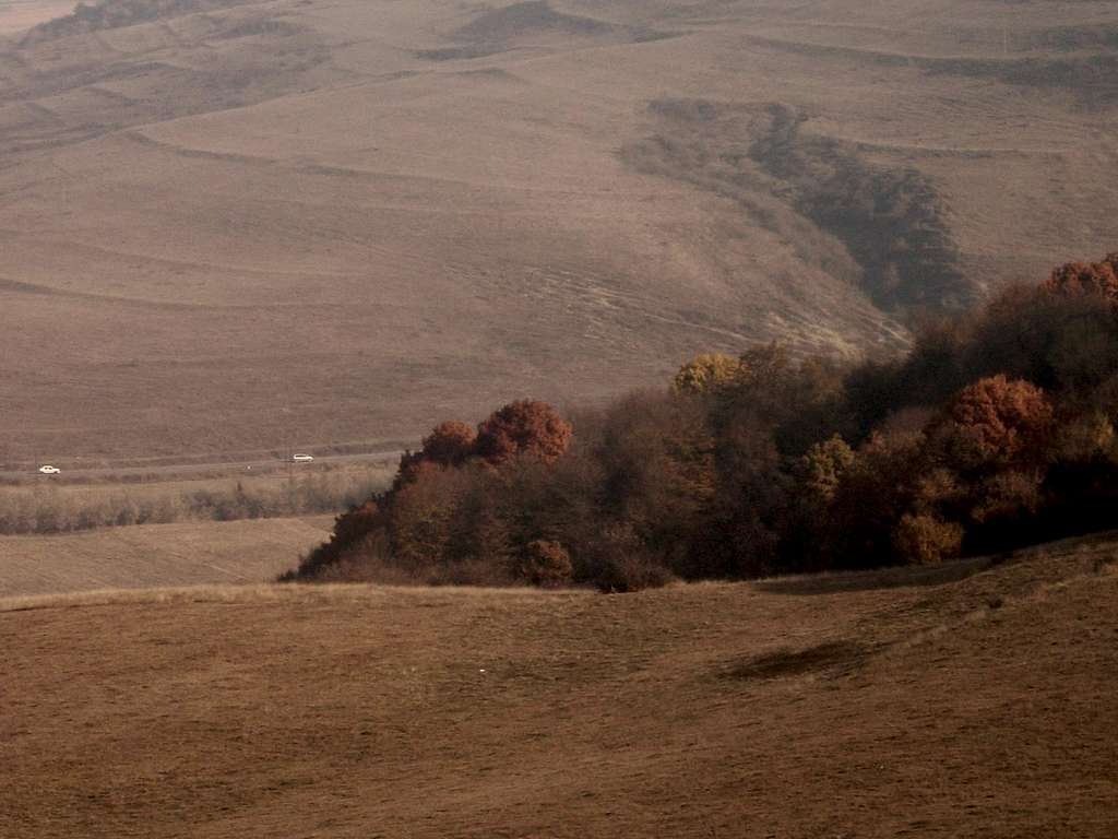 Autumn landscape