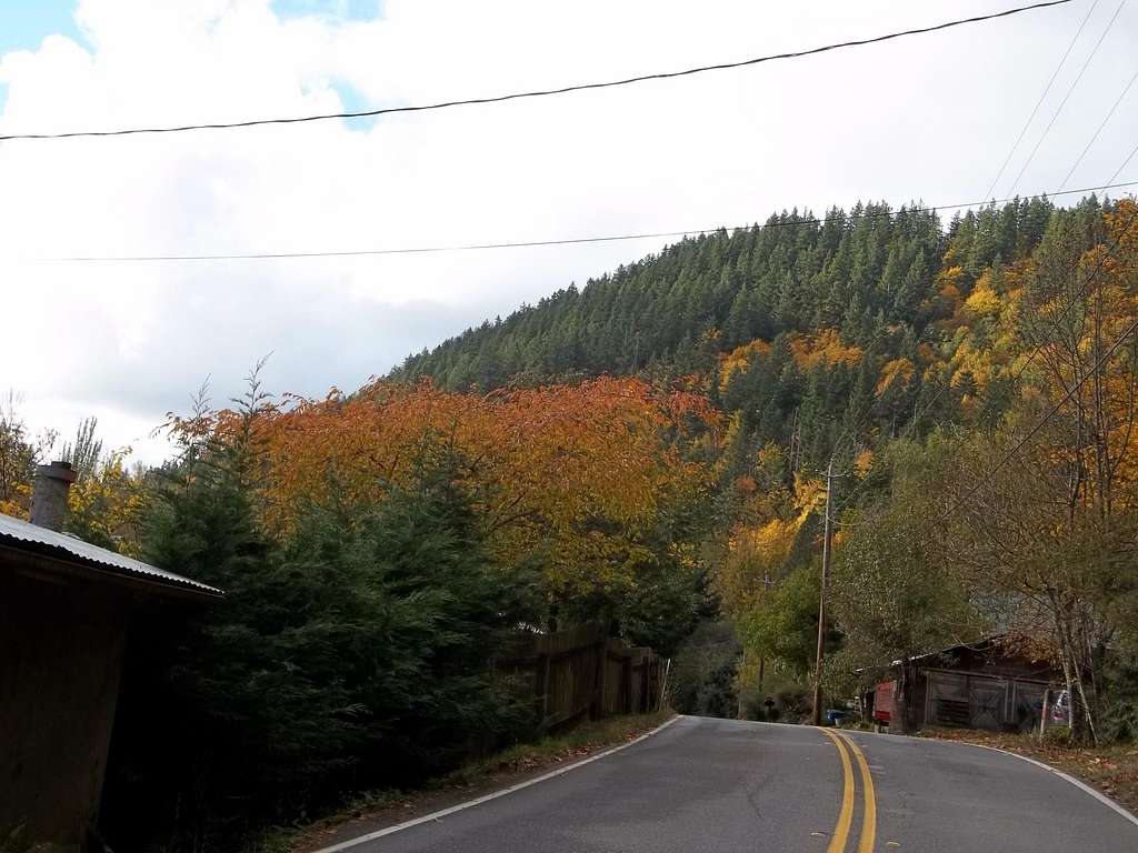 Issaquah Alps fall color