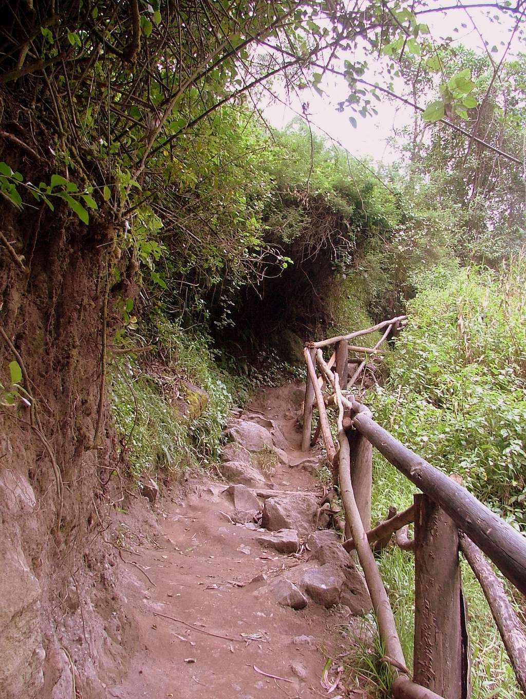 Trail to the waterfall