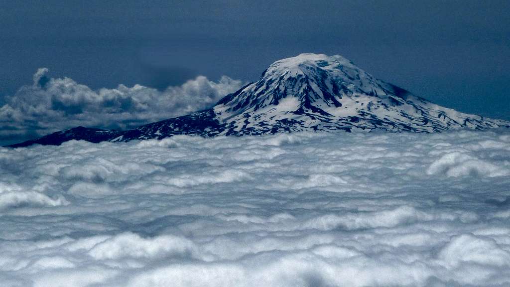 Mount Adams above the Clouds
