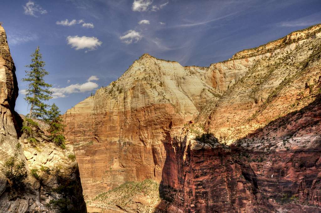 Observation Point from Hidden Canyon