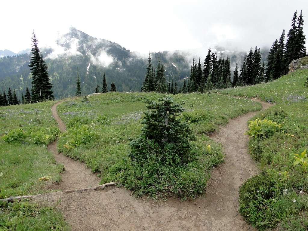 Trail spur to Tahtlum Peak 