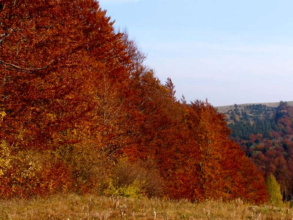 Mount Przedziwna - Our hike – October 29, 2011