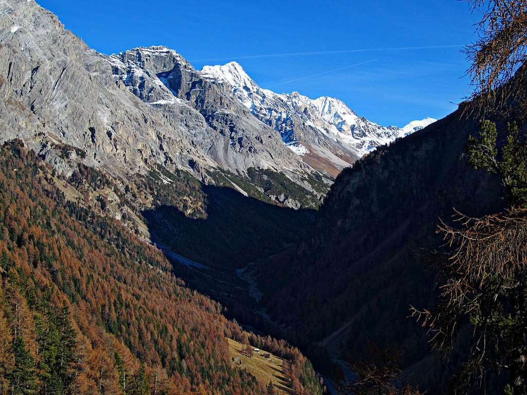 Autumn in Zebrù valley
