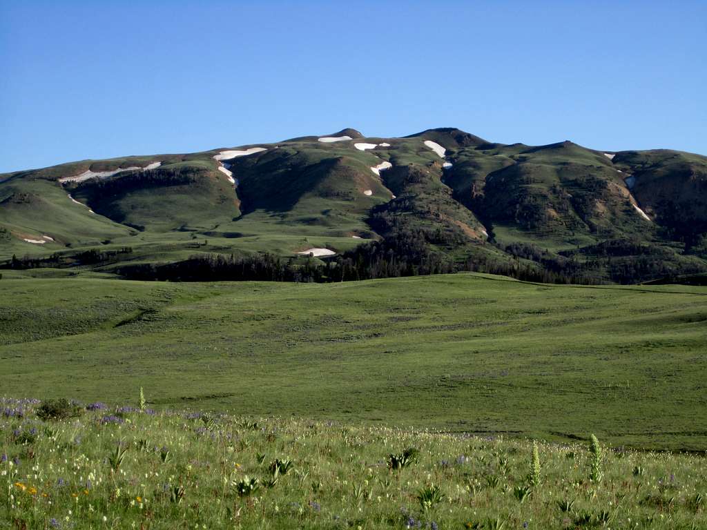 Pat O'Hara Mountain