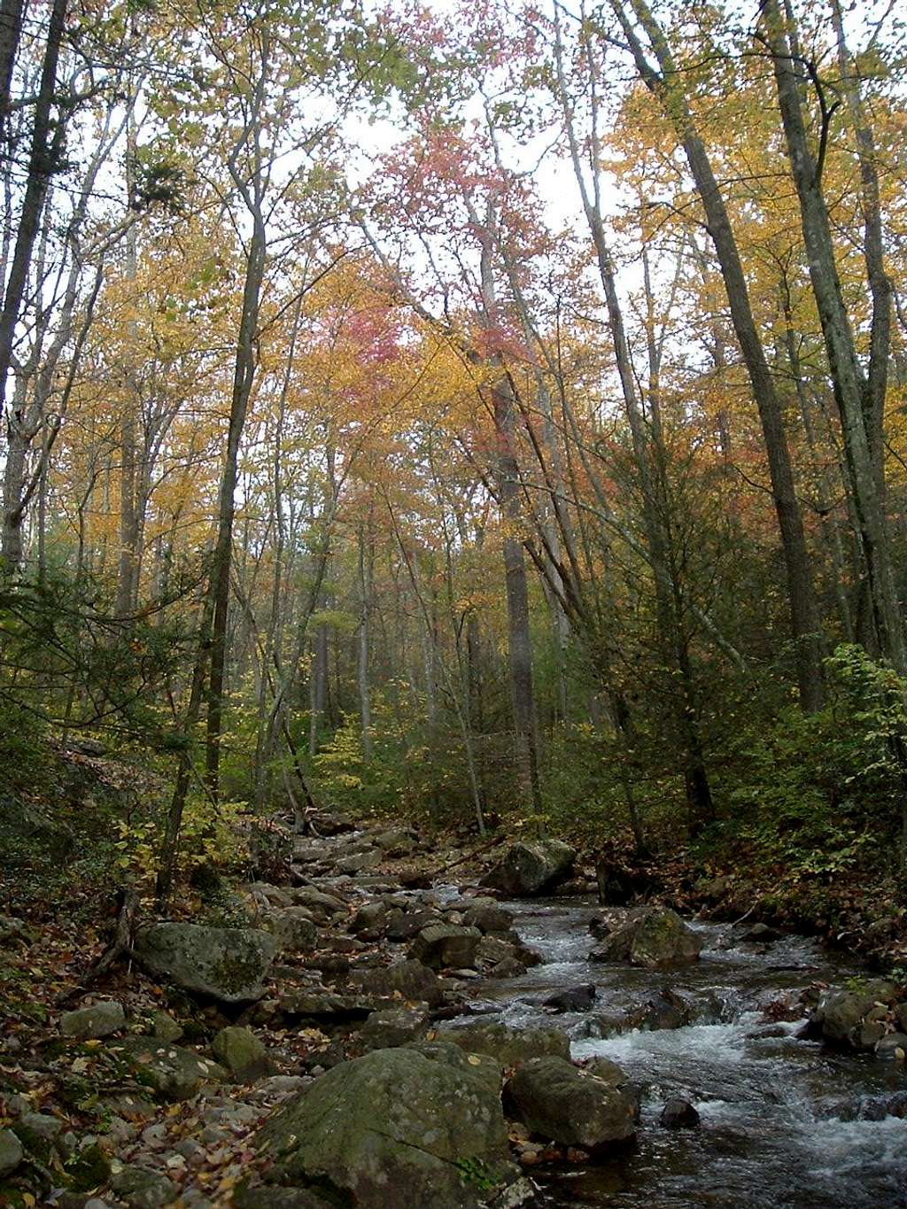 Little Stony Creek in Autumn