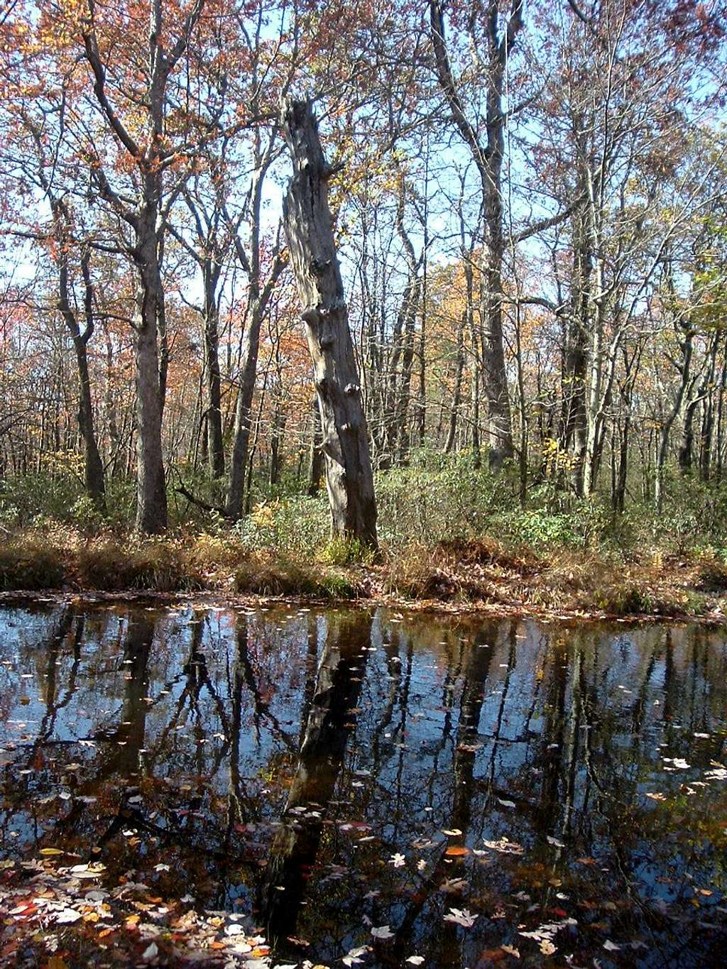 Pond on Tuscarora Trail