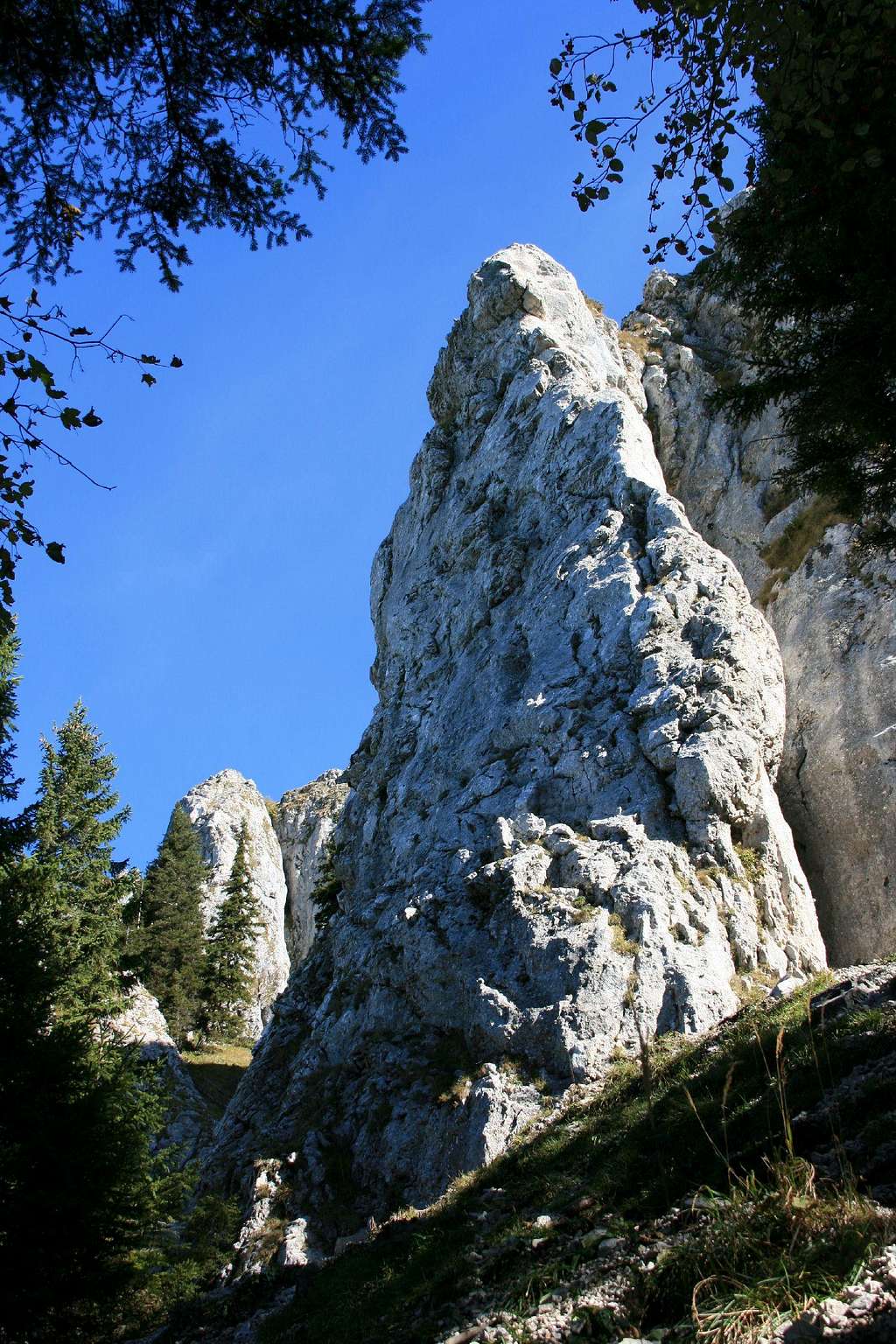 Frauenkopf, 1.303m.