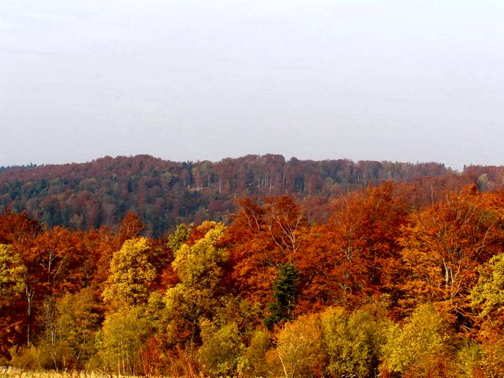 Mount Przedziwna - Our hike – October 29, 2011