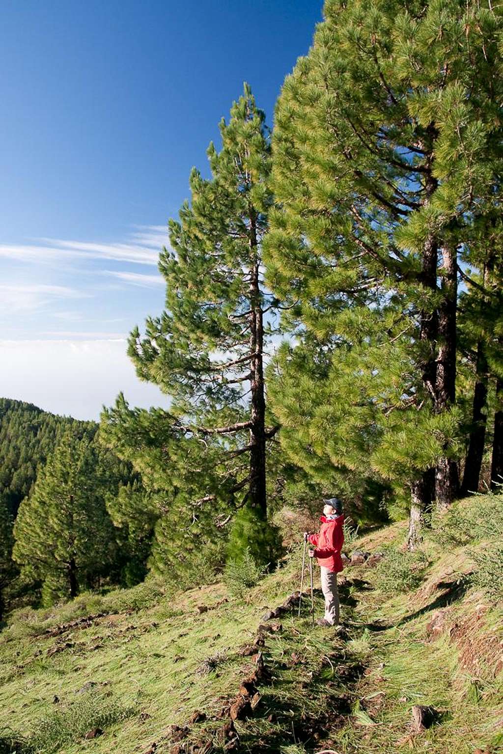 On the path to Montaña la Barquita