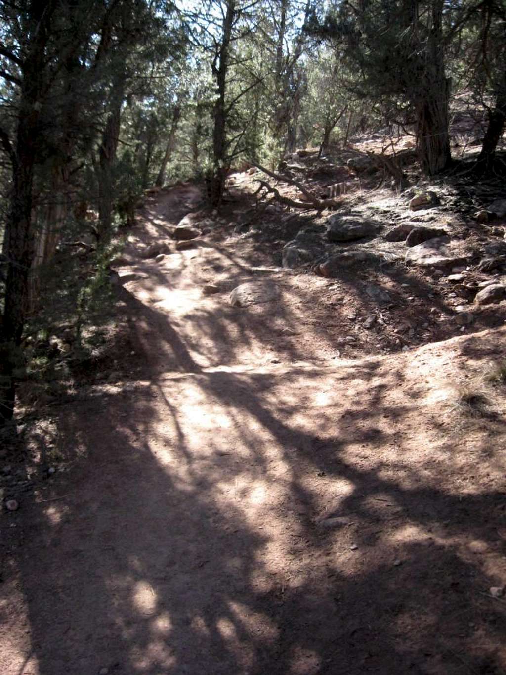Beginning trail surface