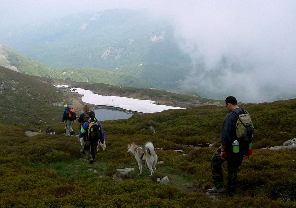 Parmesan Apennines - Dog trekking in middle spring