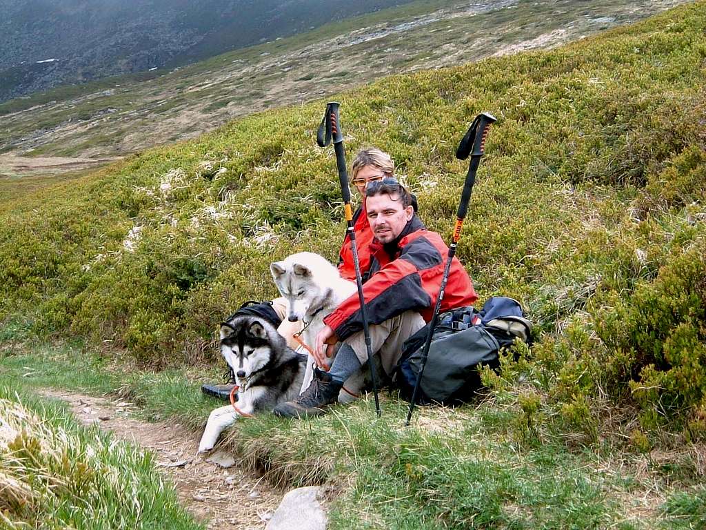 Parmesan Apennines - Dog trekking in middle spring