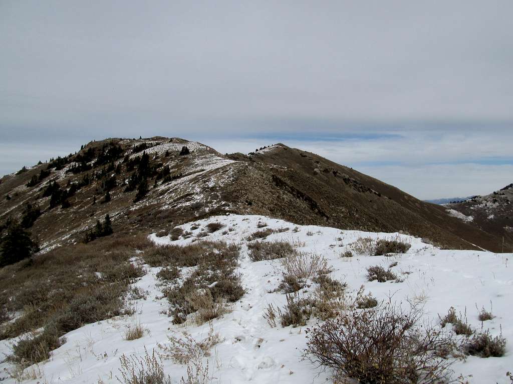 Ridge from Lewiston/Flat Top Saddle