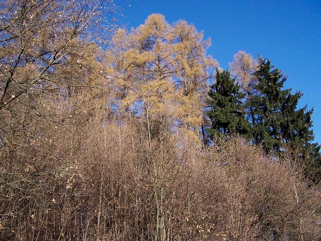 Autumn in the Desna Valley