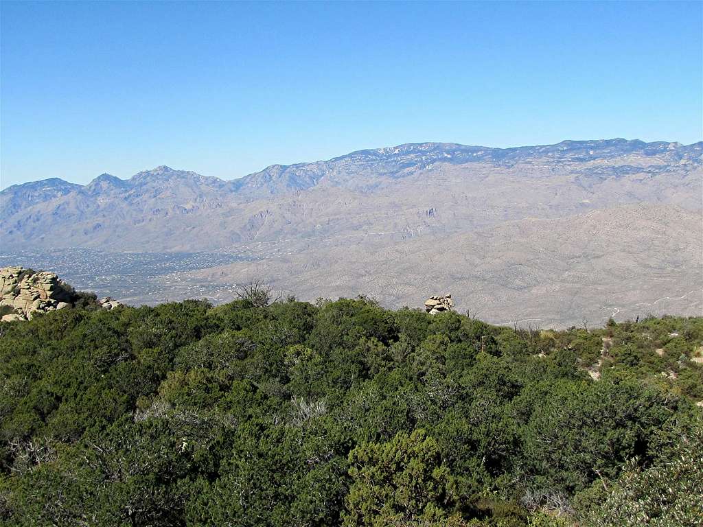 Santa Catalina Mountains from the summit of Tanque Verde Peak