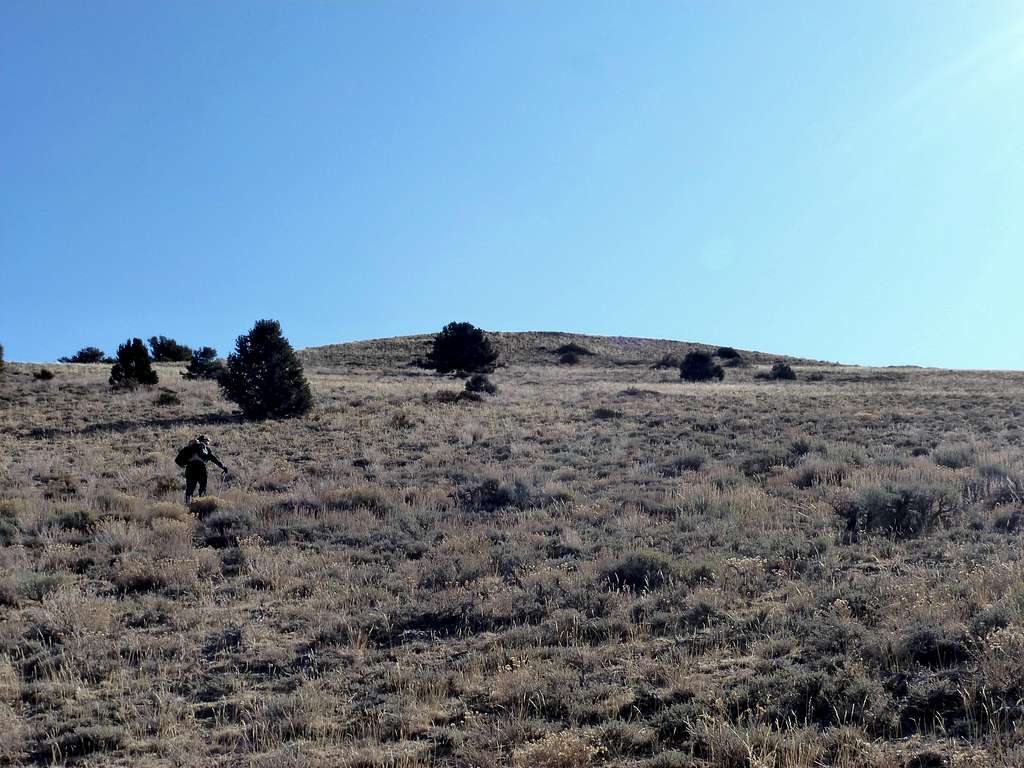 Heading up the north face of Mount Bullion