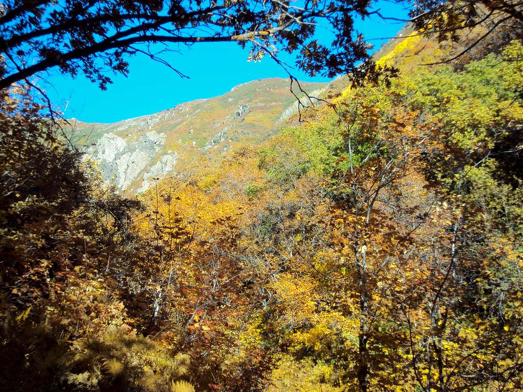 Bues Trail In Fall