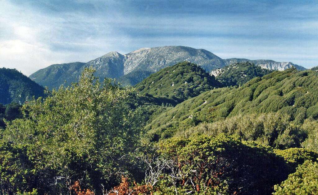 San Gorgonio Mtn. from Kitching Peak Trail