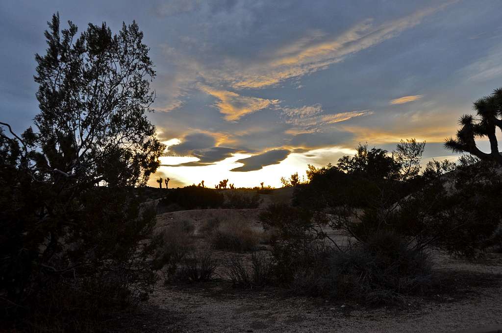 Another sunset at Joshua Tree