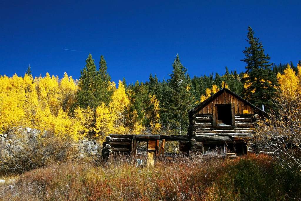 Cabin and aspens