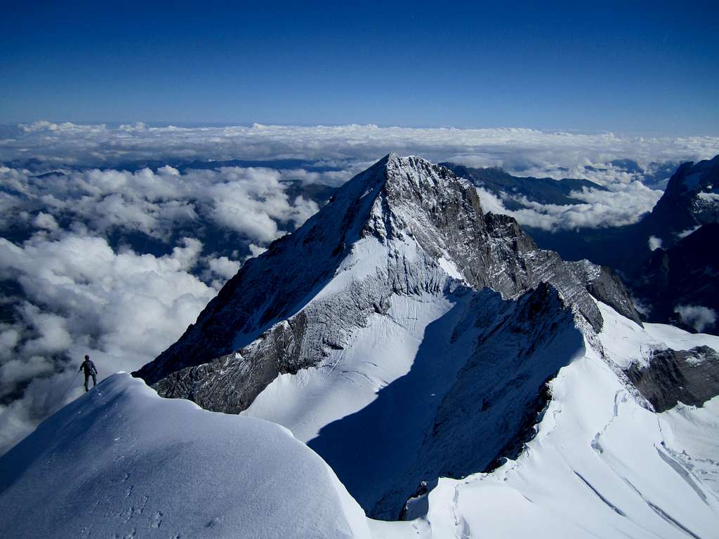 Eiger from Monch summit