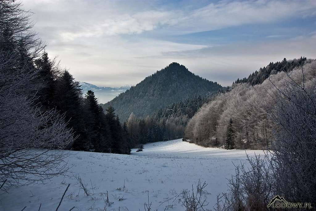 Winter in Pieniny