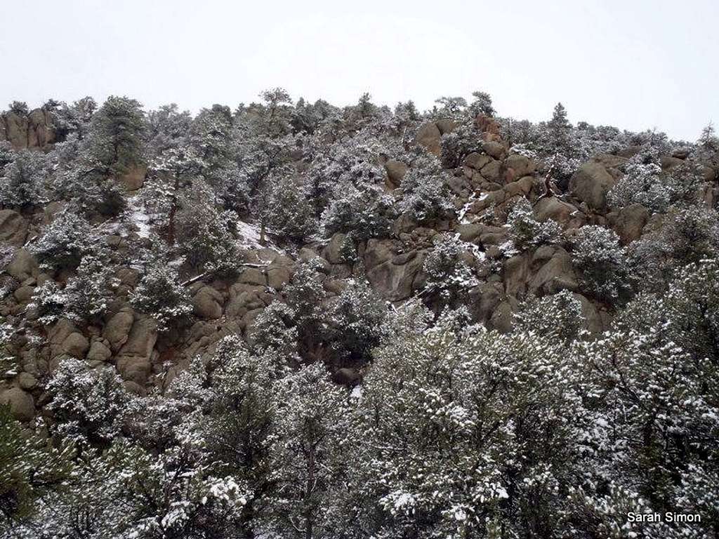 Snow, Pines & Granite