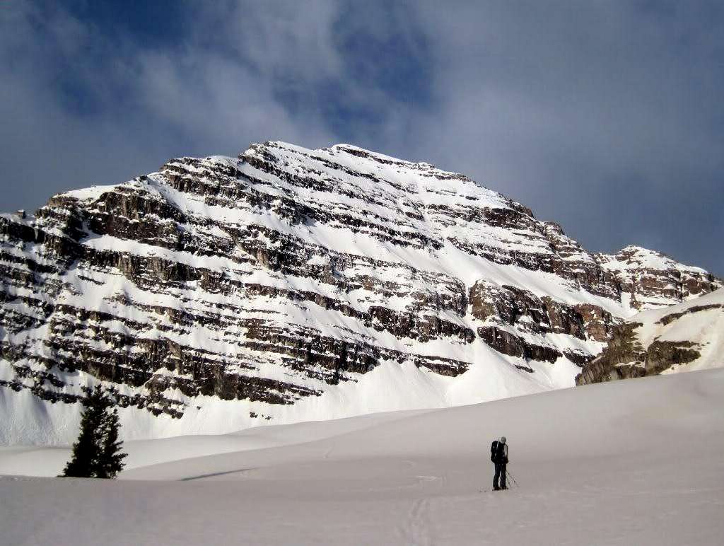 The North Face of North Maroon