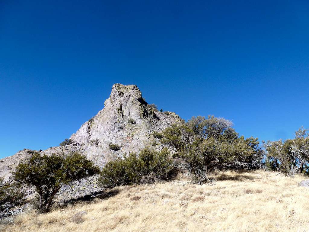 Southeast side of Cone Peak