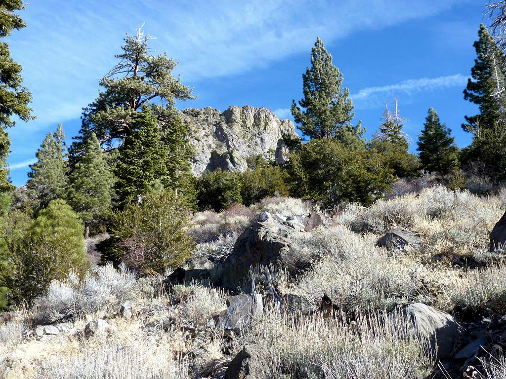 View up the brushy slope up to the base of Cone Peak