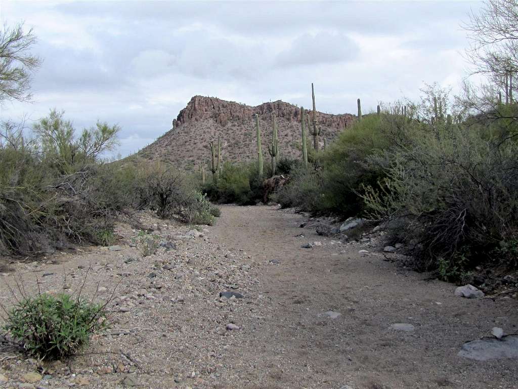 Picture Rocks Trail