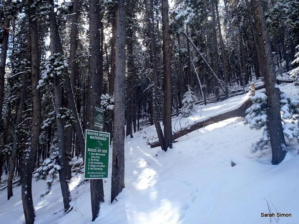 Start of the trail in winter