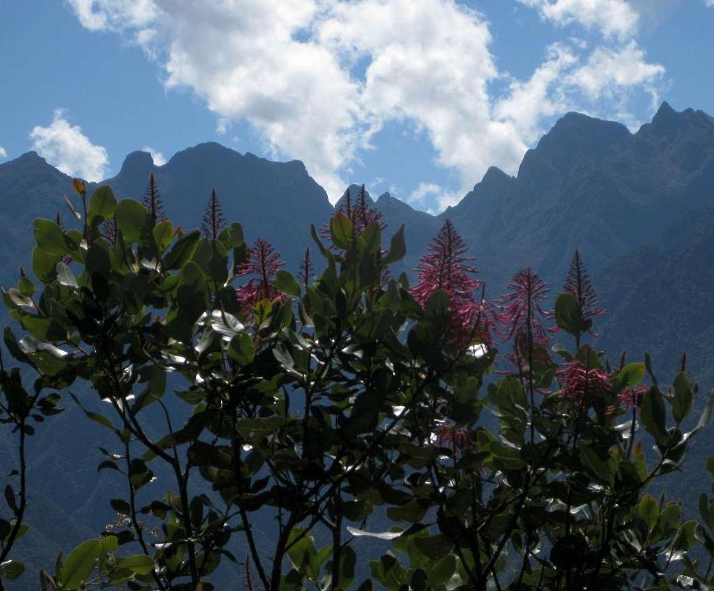 The Cordillera Urubamba from Cerro Machu Picchu