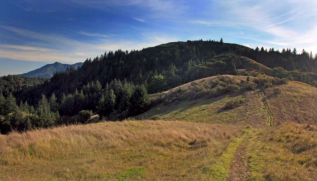 Trail to White's Hill