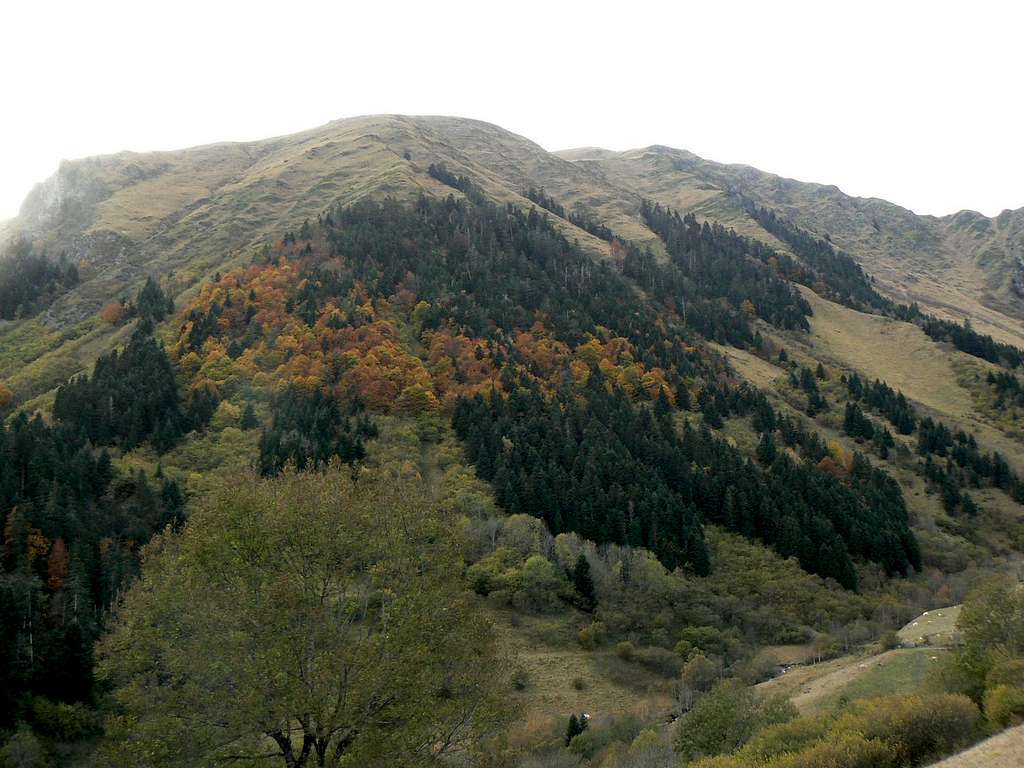 Autumnal tones in the Bareilles valley