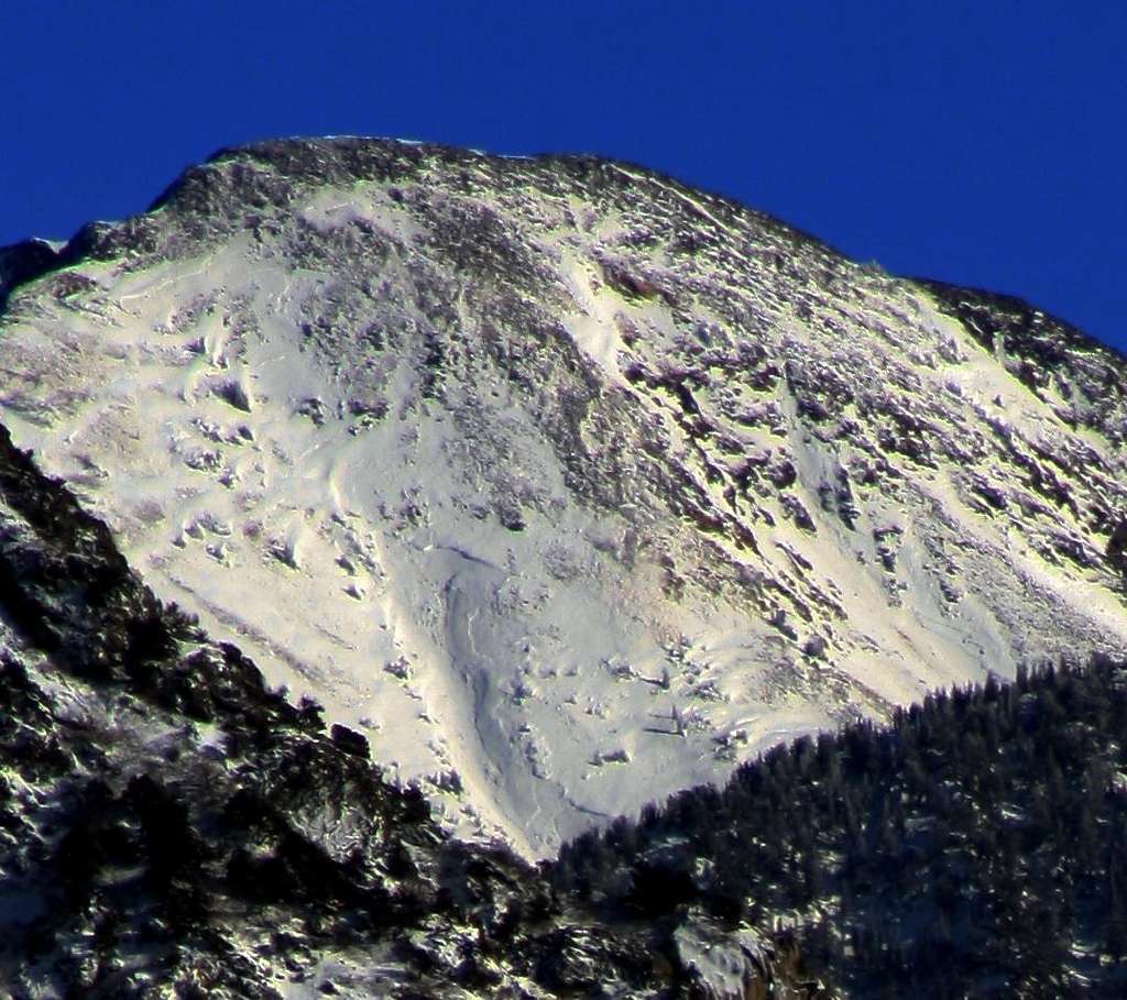 White Pine Avalanche