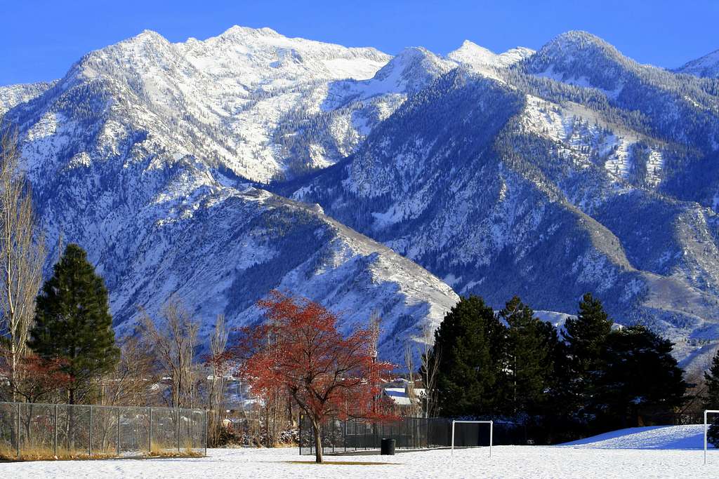 Bells Canyon's Fresh New Winter Coat...Red, White and Blue