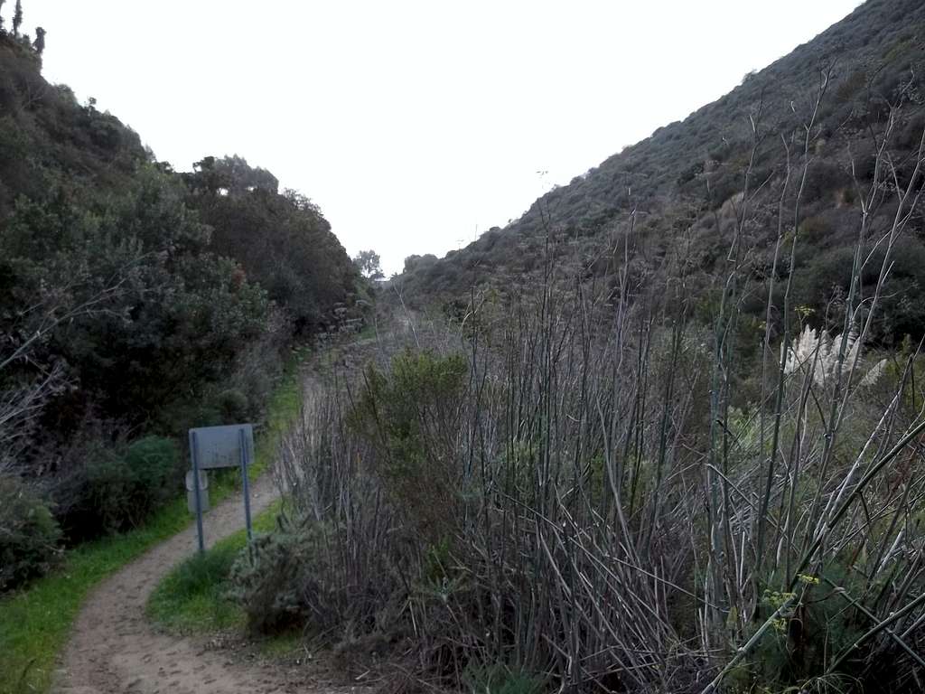 The Valido Trail