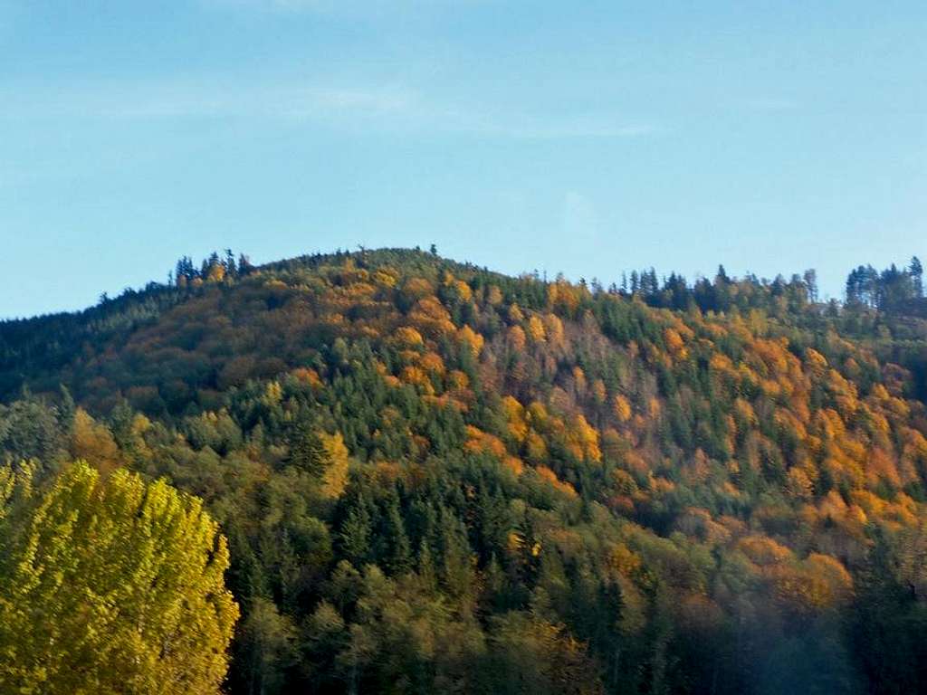 Fall Color in the Mountain Loop Highway