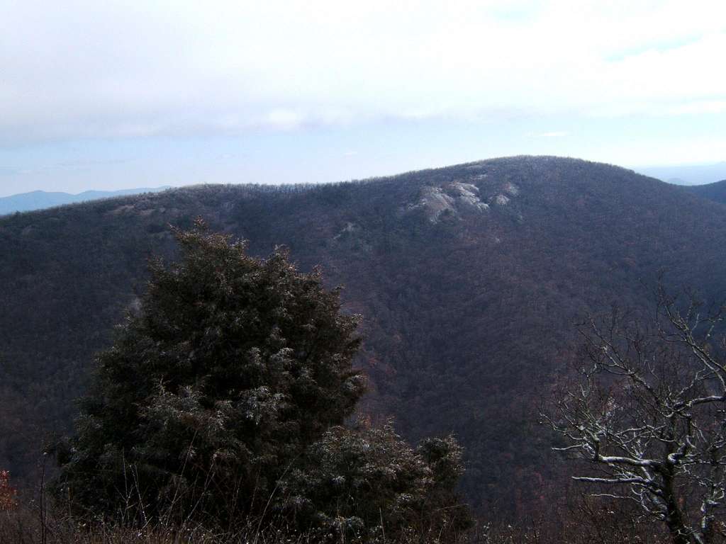 View of Wildcat Mountain from Cowrock Mountain
