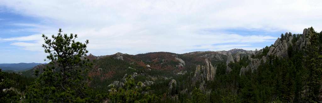 Black Hills Panorama