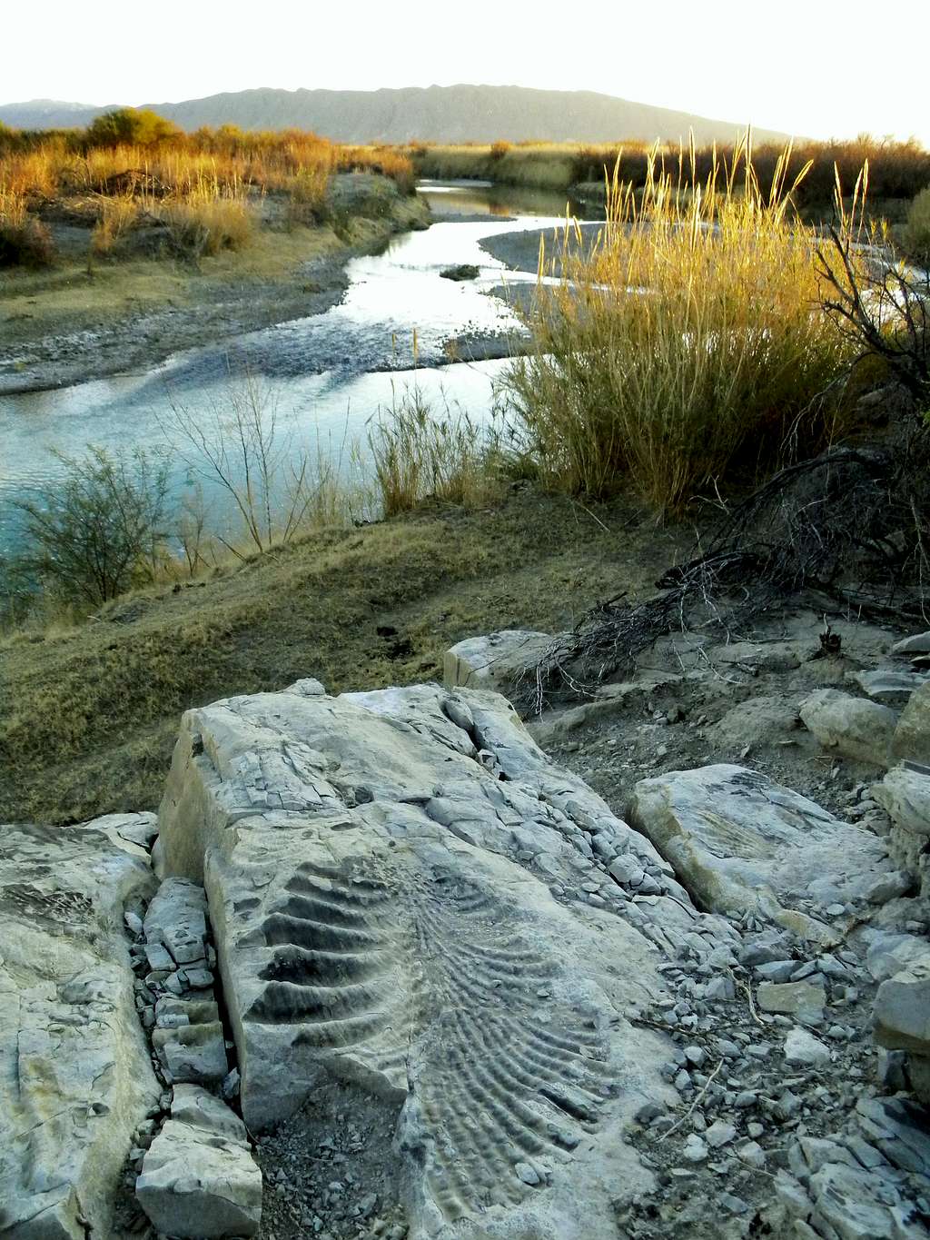 Big Fossil & Rio Grande