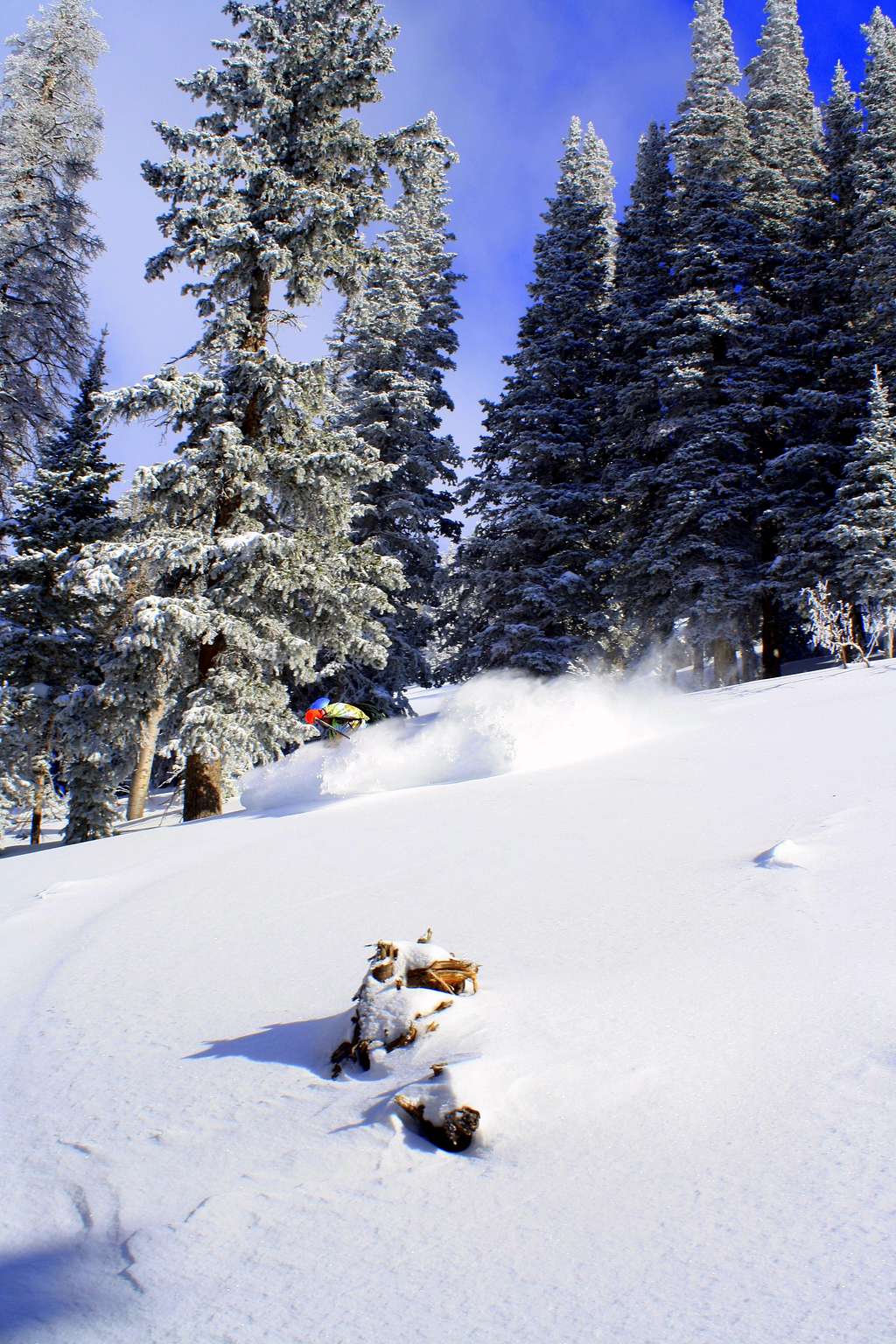 Troy skiing down Beartrap