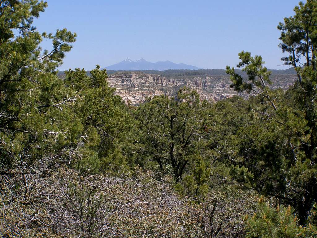 San Francisco Peaks