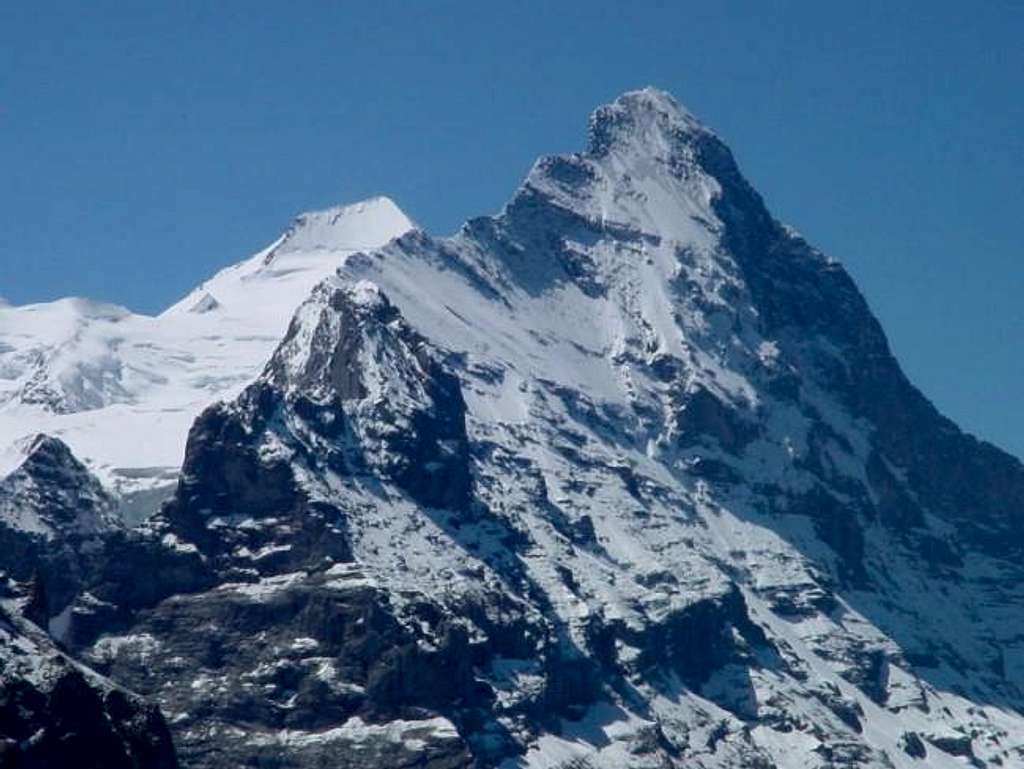 Eiger with Mittellegi-Ridge,... : Photos, Diagrams & Topos : SummitPost