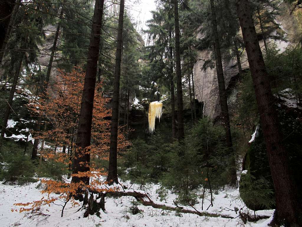 Beautiful orange-colored icicle in the Kirnitzschtal valley