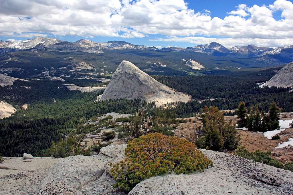 Fairview Dome and Tuolumne Meadows